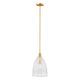 1-Light Pendant