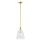 1-Light Pendant