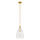 1-Light Pendant
