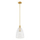 1-Light Pendant