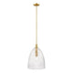 1-Light Pendant