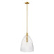 1-Light Pendant