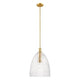 1-Light Pendant