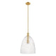 1-Light Pendant