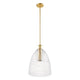 1-Light Pendant