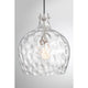 1-Light Pendant