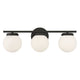 Meridian - 3-Light Bathroom Vanity Light - Lights Canada