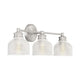Meridian - 3-Light Bathroom Vanity Light - Lights Canada