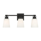 Meridian - 3-Light Bathroom Vanity Light - Lights Canada