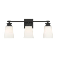 3-Light Bathroom Vanity Light
