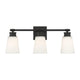 Meridian - 3-Light Bathroom Vanity Light - Lights Canada