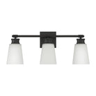 Meridian - 3-Light Bathroom Vanity Light - Lights Canada