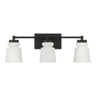 Meridian - 3-Light Bathroom Vanity Light - Lights Canada