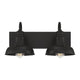 Meridian - 2-Light Bathroom Vanity Light - Lights Canada