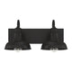 Meridian - 2-Light Bathroom Vanity Light - Lights Canada