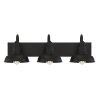 3-Light Bathroom Vanity Light