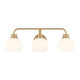 3-Light Vanity Light