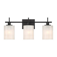 3-Light Vanity Light