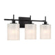 3-Light Vanity Light