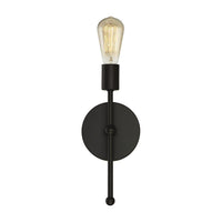 1-Light Wall Sconce