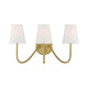 Meridian - 3-Light Wall Sconce - Lights Canada