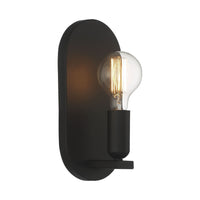 1-Light Wall Sconce