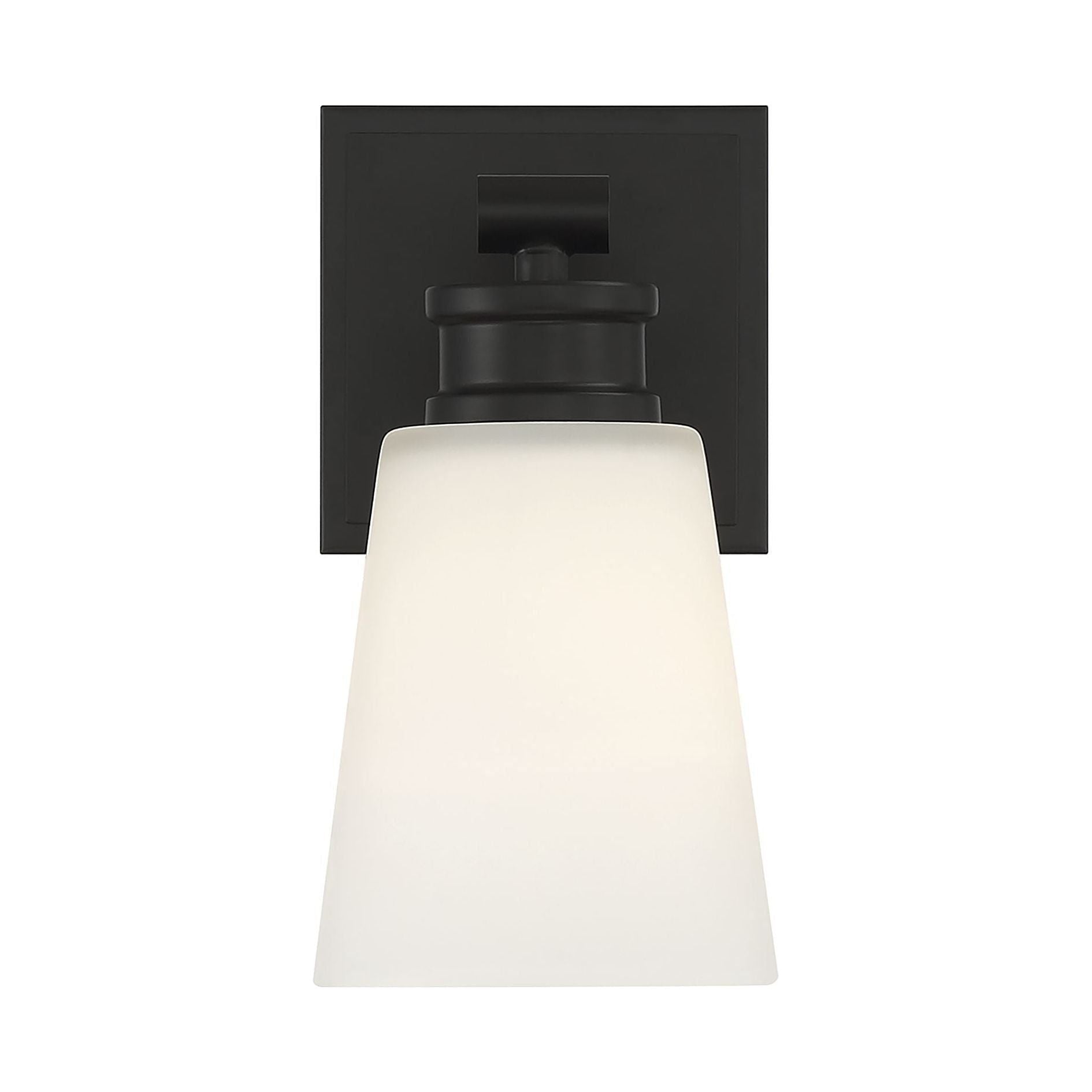 Meridian - 1-Light Wall Sconce - Lights Canada