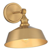 1-Light Wall Sconce