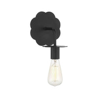 1-Light Wall Sconce