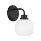 1-Light Wall Sconce
