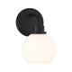 1-Light Wall Sconce