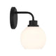 1-Light Wall Sconce