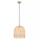 Indy 1-Light Pendant