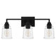 McIntire 3-Light Bath Light