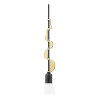 Phoenix 1-Light Pendant