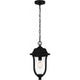 Mulberry Outdoor Pendant