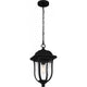 Mulberry Outdoor Pendant