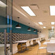 Forli 1-Light Pendant