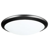 Essex 2-Light Flush Mount