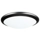 Essex 2-Light Flush Mount