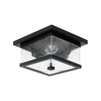 Homestead 2-Light Outdoor Ceiling Light