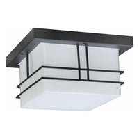 Cornwall 2-Light Outdoor Ceiling Light