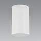 Toro 1-Light Flush Mount