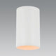 Toro 1-Light Flush Mount