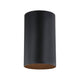 Toro 1-Light Flush Mount