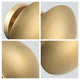 Pom 1-Light Wall or Ceiling Light
