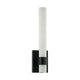 Kaigan 1-Light Vanity Light