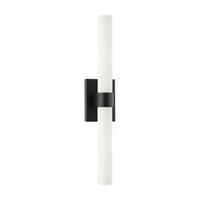 Kaigan 1-Light Vanity Light