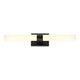 Kaigan 1-Light Vanity Light