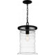 Noland 1-Light Mini Pendant